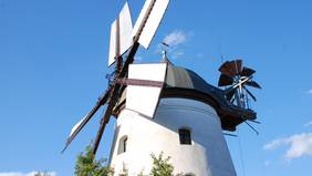 Foto (© Gemeinde Lehre): Am Tag des offenen Denkmals öffnet die Windmühle Wendhausen ihre Türen – der Mühlenförderverein werden Führungen durch das historische Bauwerk angeboten.
