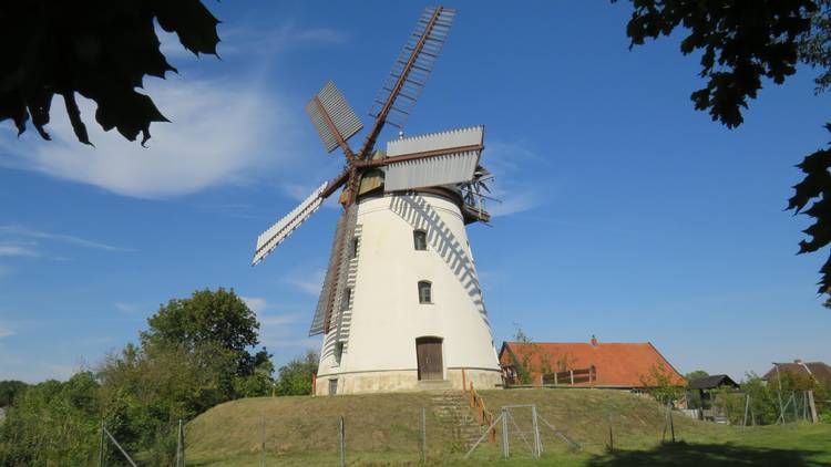 Foto (© Gemeinde Lehre): Standesamtliche Trauungen sind im historischen Ambiente der Windmühle Wendhausen wieder möglich.