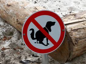 Foto (© Gemeinde Lehre): Hunde verboten: Immer wieder sorgen die Hinterlassenschaften in den Ortschaften für Unmut.