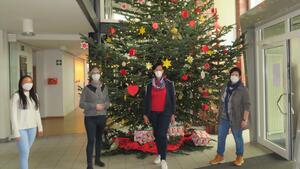 Bild vergr&ouml;&szlig;ern: Foto (Gemeinde Lehre): Der Weihnachtsbaum im Rathaus steht wieder.