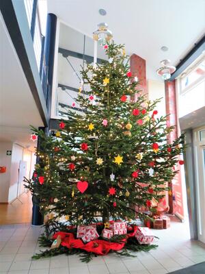 Bild vergr&ouml;&szlig;ern: Foto (Gemeinde Lehre): Der Weihnachtsbaum in Eingangsbereich des Rathauses