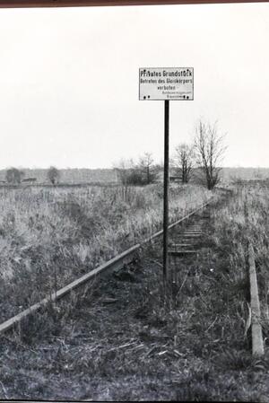 Bild vergr&ouml;&szlig;ern: Foto(Jens Dürrkopf)