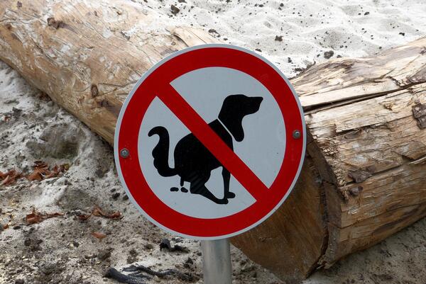 Bild vergr&ouml;&szlig;ern: Foto (© Gemeinde Lehre): Hunde verboten: Immer wieder sorgen die Hinterlassenschaften in den Ortschaften für Unmut.