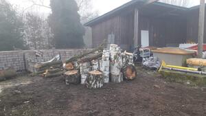 Bild vergr&ouml;&szlig;ern: Fotos (© Gemeinde Lehre): Brennholzverkauf