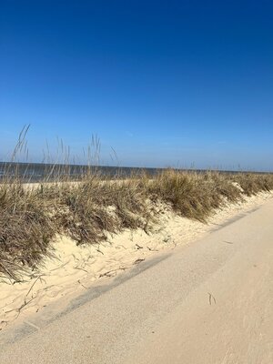 Bild vergr&ouml;&szlig;ern: Ein Landschaftsbild aus Cuxhaven: Düne und Meer