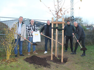 Bild vergr&ouml;&szlig;ern: Andreas Busch, Bürgermeister, Carsten Scheier, Kitaleitung, Dirk Jakobs, Geschäftsführer Hörmann, Wojciech Kramarczuk, Projektleiter BE Schunter und Andreas Krüger, Vorstandsvorsitzender der BE Schunter, pflanzten gemeinsam das Baumgeschenk an die Kita Kunterbunt