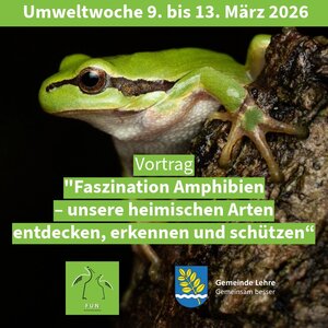 Bild vergr&ouml;&szlig;ern: In seinem Vortrag gibt der Biologe Dr. Sven Gippner anhand zahlreicher Bilder Einblick in der Welt der heimischen Amphibien