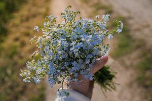 Bild vergr&ouml;&szlig;ern: Symbolfoto (Pixabay): Ein Strauß Blumen.