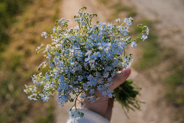 Bild vergr&ouml;&szlig;ern: Symbolfoto (Pixabay): Ein Strauß Blumen.