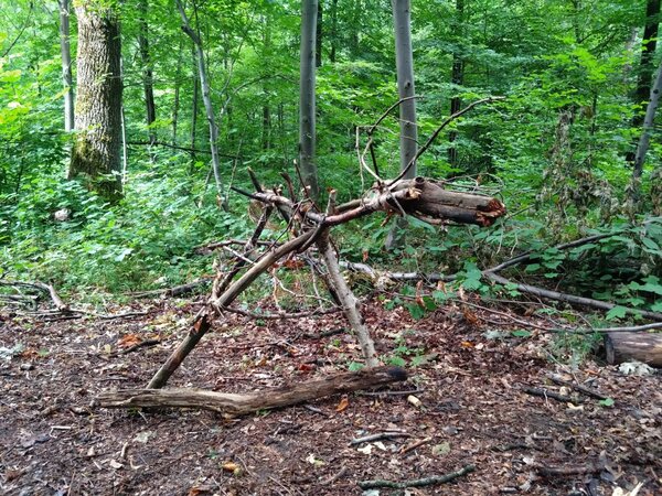 Bild vergr&ouml;&szlig;ern: Eine Hirschfigur, die aus Waldmaterial gebaut wurde.