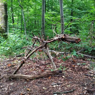 Eine Hirschfigur, die aus Waldmaterial gebaut wurde.