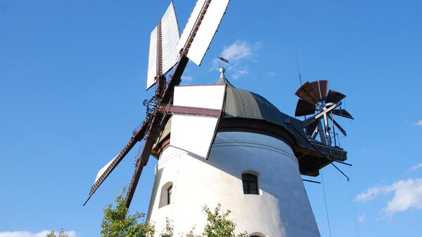 Bild vergr&ouml;&szlig;ern: Foto (© Gemeinde Lehre): Am Tag des offenen Denkmals öffnet die Windmühle Wendhausen ihre Türen – der Mühlenförderverein werden Führungen durch das historische Bauwerk angeboten.