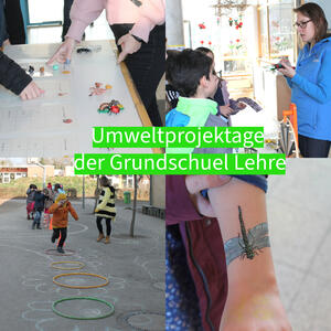 Bild vergr&ouml;&szlig;ern: Foto(Gemeinde Lehre): Alles über Insekten lernten die Grundschulkinder spielerisch an mehreren Stationen.