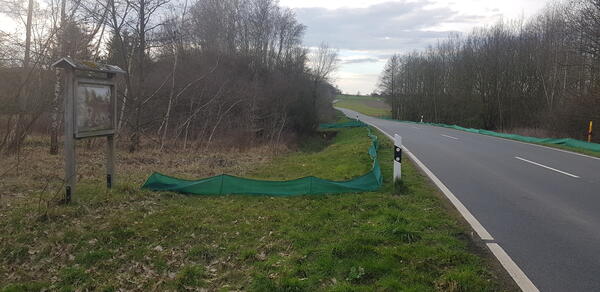 Bild vergr&ouml;&szlig;ern: Foto(FUN Hondelage): Die Zaunanlage an der K35 in Höhe des Sportplatzes in  Groß Brunsrode.