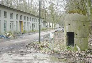 Bild vergr&ouml;&szlig;ern: Foto ( © Gemeinde Lehre): Flaggen vor dem Rathaus in Gedenken an die Befreiung von Lehre und der Muna durch US-Truppen.