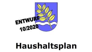 Bild vergr&ouml;&szlig;ern: Die Titelseite des Haushaltsplan-Entwurfs 2021.